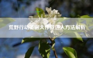 荒野行动圣诞大作战进入方法解析