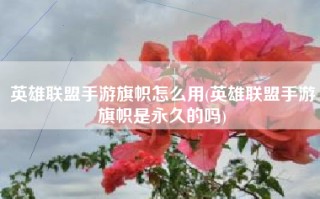 英雄联盟手游旗帜怎么用(英雄联盟手游旗帜是永久的吗)