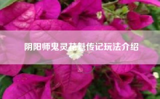 阴阳师鬼灵花魁传记玩法介绍
