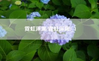 霓虹深渊(霓虹深渊)_1