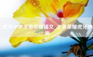虎牙小梦王者荣耀铭文_王者荣耀虎牙梦岚