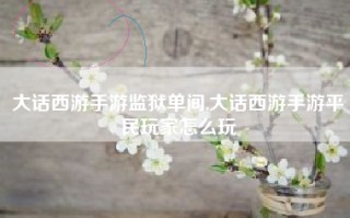 大话西游手游监狱单间,大话西游手游平民玩家怎么玩