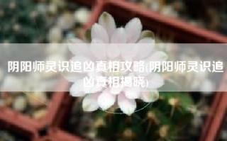 阴阳师灵识追凶真相攻略(阴阳师灵识追凶真相揭晓)