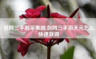 剑网三手游采集图,剑网三手游天元怎么快速获得