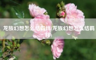 龙族幻想怎么结羁绊(龙族幻想怎么结羁绊)