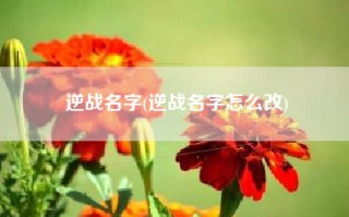 逆战名字(逆战名字怎么改)