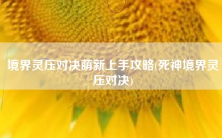 境界灵压对决萌新上手攻略(死神境界灵压对决)