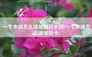 一个木函怎么添加图片水印(一个木函怎么添加色卡)