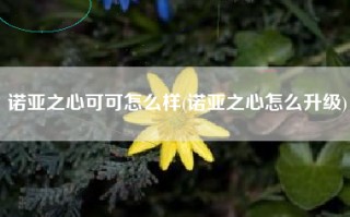 诺亚之心可可怎么样(诺亚之心怎么升级)