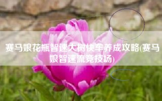 赛马娘花瓶智速大树快车养成攻略(赛马娘智速流竞技场)