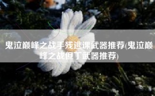 鬼泣巅峰之战手残逃课武器推荐(鬼泣巅峰之战但丁武器推荐)