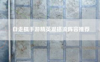 自走棋手游精英混搭流阵容推荐