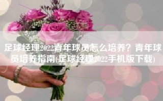 足球经理2022青年球员怎么培养？青年球员培养指南(足球经理2022手机版下载)