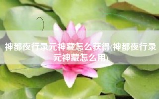 神都夜行录元神藏怎么获得(神都夜行录元神藏怎么用)
