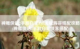 神雕侠侣2手游白驼PVE天赋阵容搭配攻略(神雕侠侣2手游白驼侠客搭配)