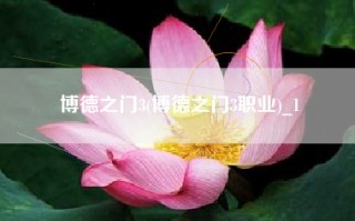 博德之门3(博德之门3职业)_1