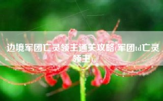 边境军团亡灵领主通关攻略(军团td亡灵领主)