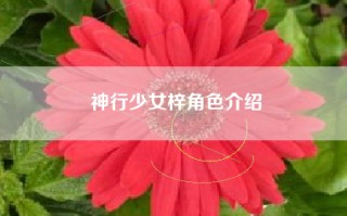 神行少女梓角色介绍