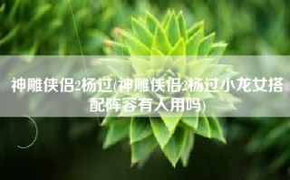 神雕侠侣2杨过(神雕侠侣2杨过小龙女搭配阵容有人用吗)