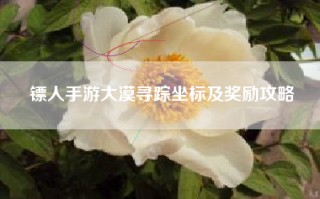 镖人手游大漠寻踪坐标及奖励攻略