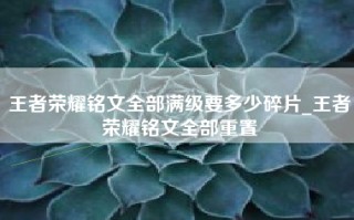 王者荣耀铭文全部满级要多少碎片_王者荣耀铭文全部重置