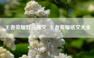 王者荣耀野马铭文_王者荣耀铭文大全