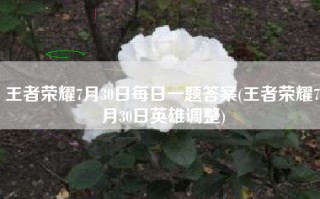 王者荣耀7月30日每日一题答案(王者荣耀7月30日英雄调整)