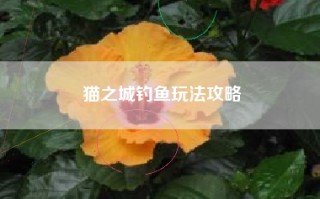 猫之城钓鱼玩法攻略