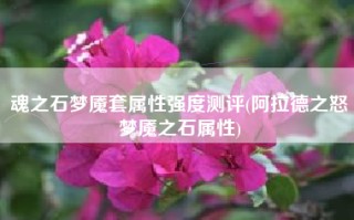 魂之石梦魇套属性强度测评(阿拉德之怒梦魇之石属性)