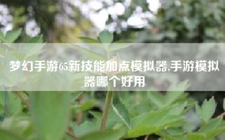 梦幻手游65新技能加点模拟器,手游模拟器哪个好用