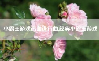 小霸王游戏热血进行曲,经典小霸王游戏