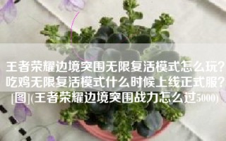 王者荣耀边境突围无限复活模式怎么玩？吃鸡无限复活模式什么时候上线正式服？[图](王者荣耀边境突围战力怎么过5000)