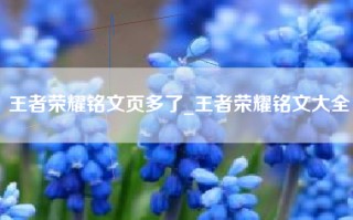 王者荣耀铭文页多了_王者荣耀铭文大全