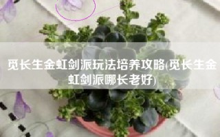 觅长生金虹剑派玩法培养攻略(觅长生金虹剑派哪长老好)