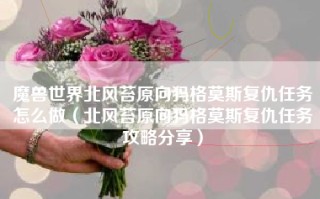 魔兽世界北风苔原向犸格莫斯复仇任务怎么做（北风苔原向犸格莫斯复仇任务攻略分享）