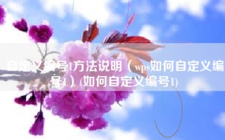 自定义编号1方法说明（wps如何自定义编号1）(如何自定义编号1)