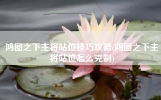 鸿图之下主将站位技巧攻略(鸿图之下主将站位怎么克制)