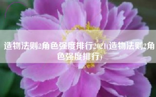 造物法则2角色强度排行2021(造物法则2角色强度排行)