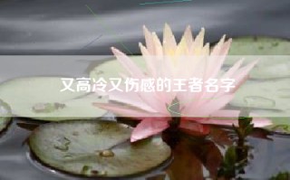 又高冷又伤感的王者名字