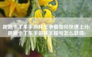 跑跑卡丁车手游杯王争霸如何快速上分(跑跑卡丁车手游杯王称号怎么获得)