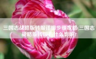 三国志战略版转服详细步骤攻略(三国志战略版转服有什么影响)