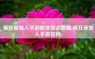 疯狂原始人手游职业加点攻略(疯狂原始人手游官网)