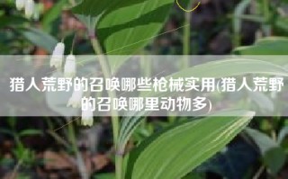 猎人荒野的召唤哪些枪械实用(猎人荒野的召唤哪里动物多)