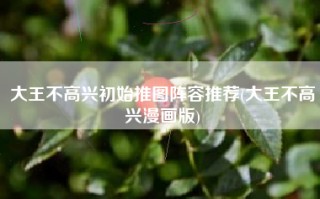 大王不高兴初始推图阵容推荐(大王不高兴漫画版)