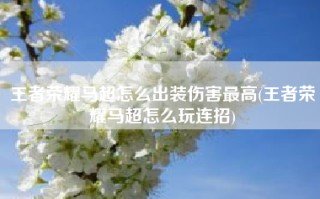 王者荣耀马超怎么出装伤害最高(王者荣耀马超怎么玩连招)