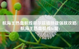 航海王热血航线谢尔兹镇挑战强敌攻略(航海王热血航线bt服)