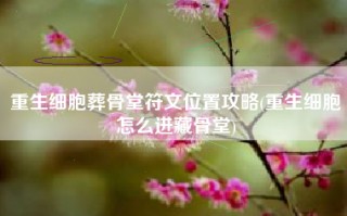 重生细胞葬骨堂符文位置攻略(重生细胞怎么进藏骨堂)