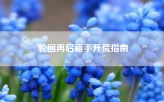 轮回再启新手开荒指南