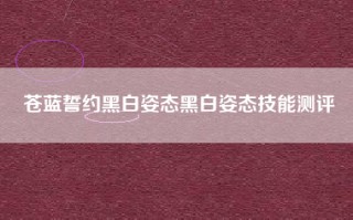 苍蓝誓约黑白姿态黑白姿态技能测评
