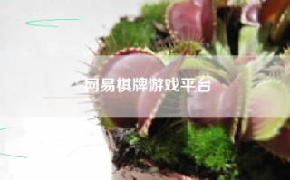 网易棋牌游戏平台